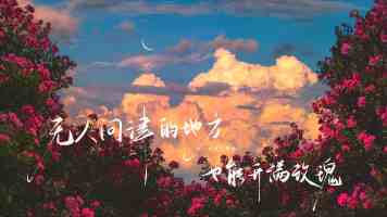 向阳花在夜里绽放｜夜开向日葵的特性、光照调控与养护方法