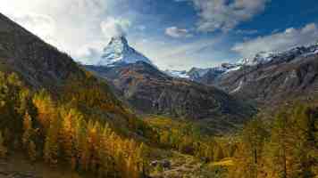 郭广生：加强交叉学科建设 深度服务教育强国战略