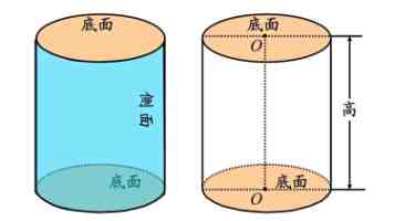 密挑是什么品种 - 口感特点与挑选技巧分享