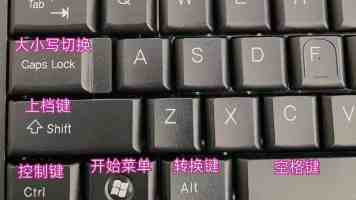 老师的兔子好软｜手感像云朵的安抚玩偶推荐与选购技巧